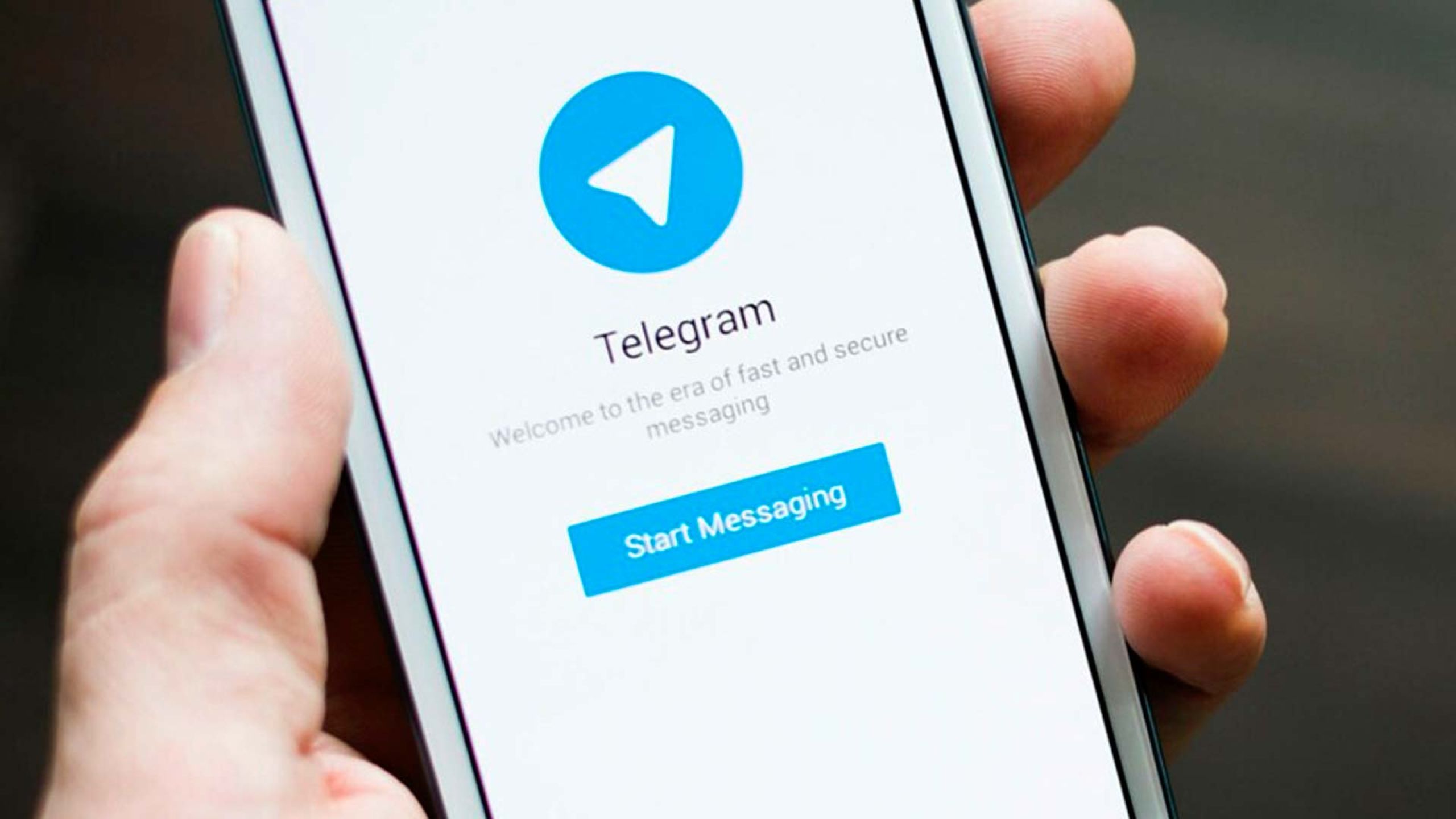 Ora siamo anche su Telegram!